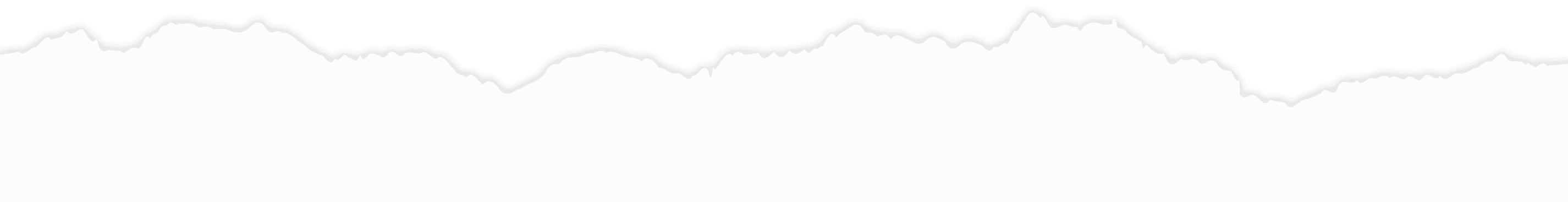 Section Divider